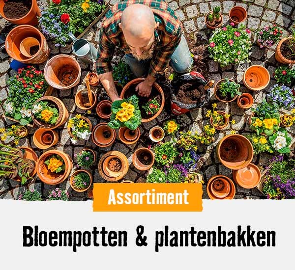 Bloempotten & plantenbakken| HORNBACH