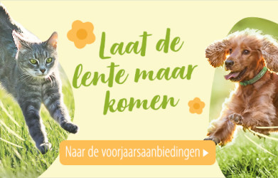 Laat de lente maar komen!