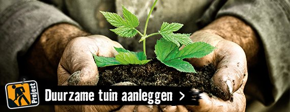 Duurzame tuin aanleggen | HORNBACH