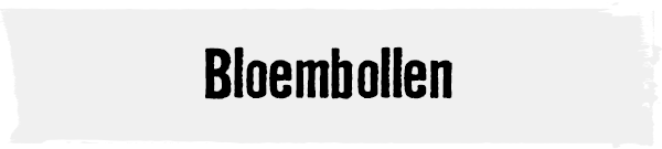 Bloembollen | HORNBACH