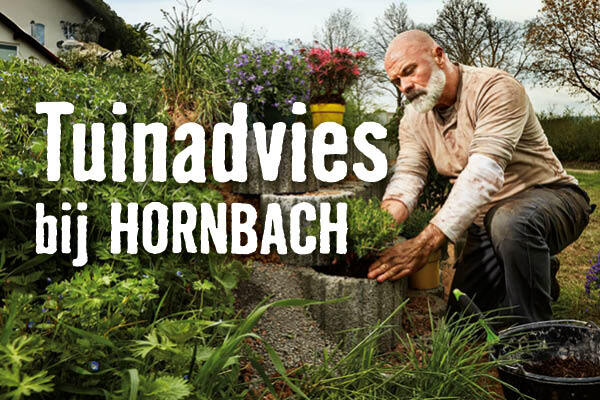 Tuinadviesdagen 2024 | HORNBACH