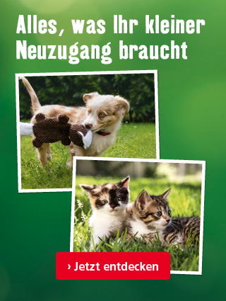 Erstausstattung