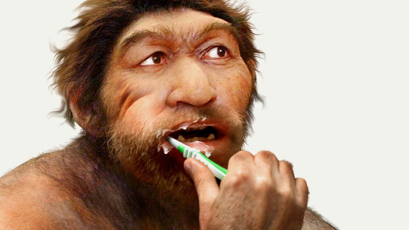  Ein Neandertaler mit Zahnbürste hätte für die Archäogenetiker wenige Bakterienreste übriggelassen. © Smetek für DIE ZEIT 