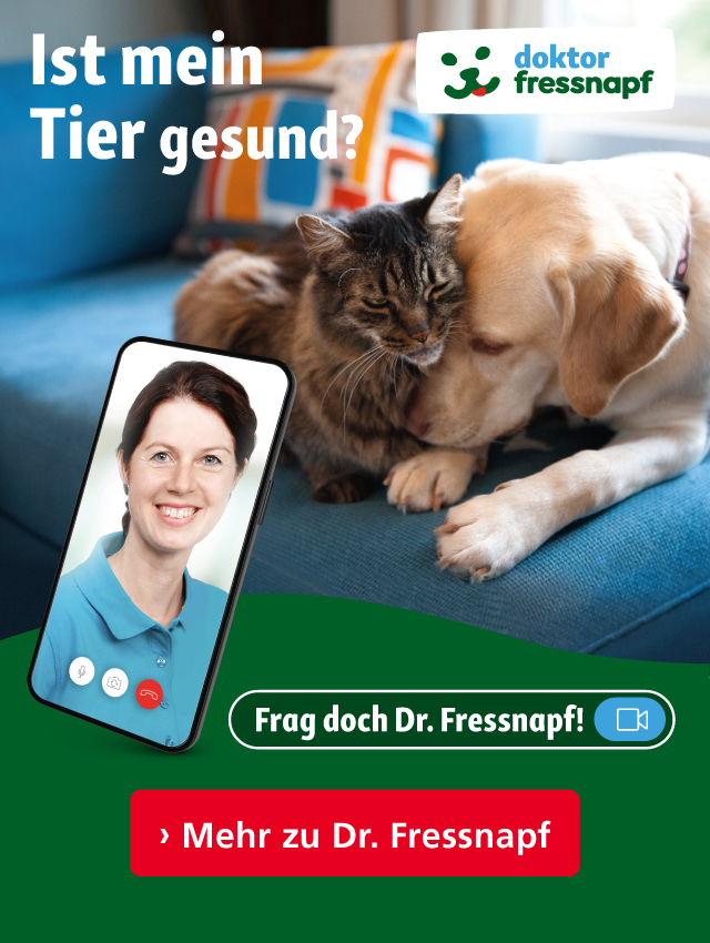 Kennen Sie schon Dr. Fressnapf?