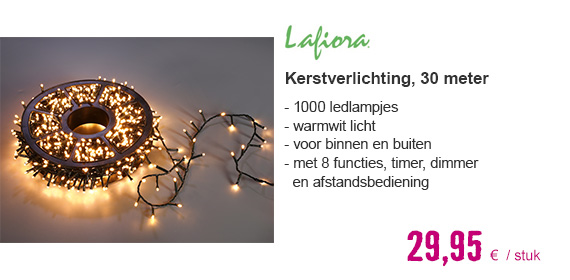 LAFIORA Kerstverlichting LED 1000 lampjes warm wit 30 meter | HORNBACH