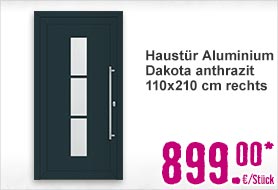 Haustür Aluminium Dakota anthrazit 110x210 cm rechts