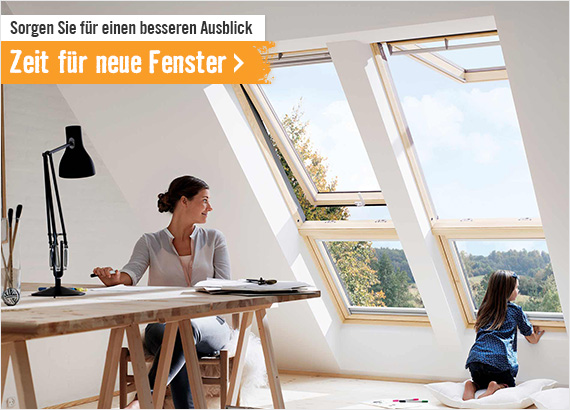 Fenster & Zubehör im Onlineshop