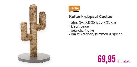 KARLIE Krabpaal Cactus 35x35x60 cm | HORNBACH