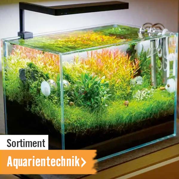 Aquarientechnik im HORNBACH Online Shop