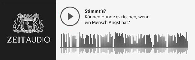 Stimmt's