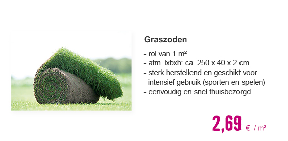 Graszoden Sport- en speel gras 250 x 40 cm. Bestellen per hele rol = 1 m² (minimale besteleenheid is 30 m²) | HORNBACH