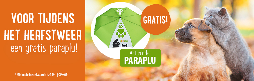 Ontvang een paraplu gratis!