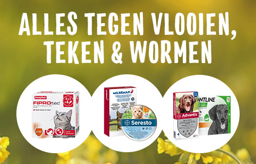 Shop middelen tegen vlooien, teken & wormen.