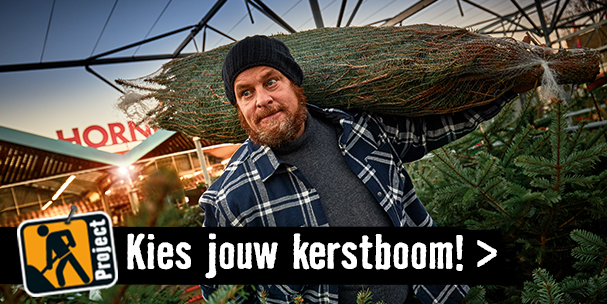 Kerstbomen | HORNBACH