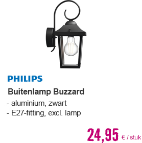 PHILIPS Buitenlamp Buzzard zwart