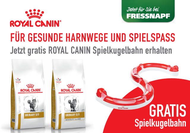 Royal Canin gratis Spielkugelbahn