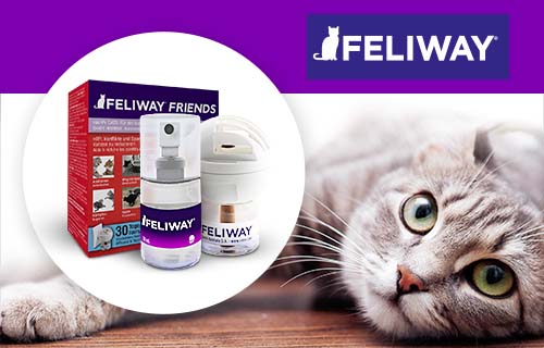 Feliway!