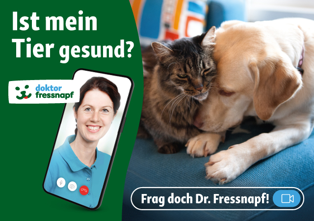 Frag doch Dr. Fressnapf 