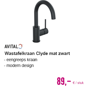 AVITAL Wastafelkraan Clyde mat zwart