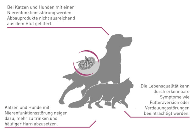 Royal Canin RENAL: Bei Nierenerkankrungen