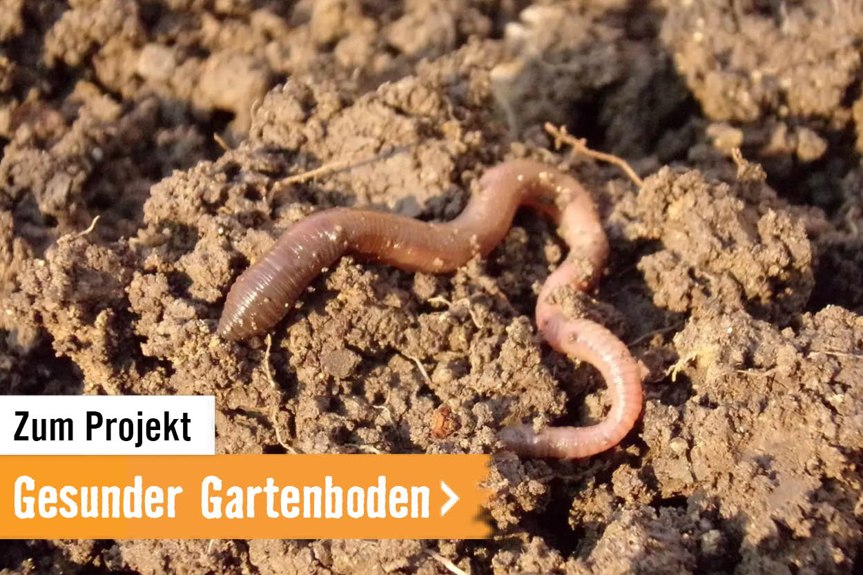 Zum Projekt: Gesunder Gartenboden