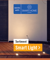 Smart Light