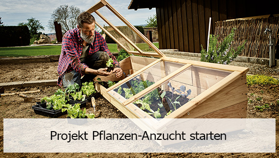 Projekt Pflanzen-Anzucht starten 