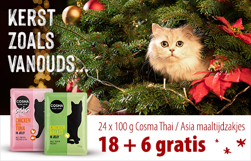 18 + 6 gratis! 24 x 100 g Cosma Thai / Asia