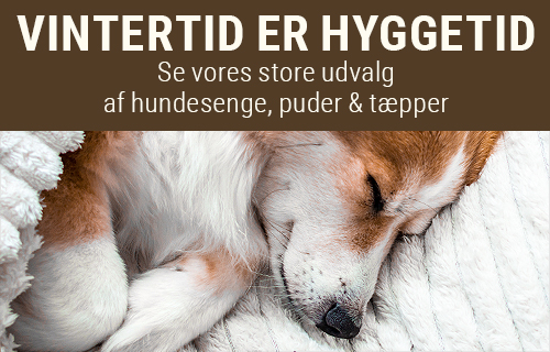 Hyggelige hundesenge