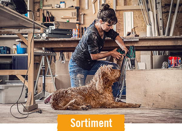 HORNBACH Sortiment für Hunde