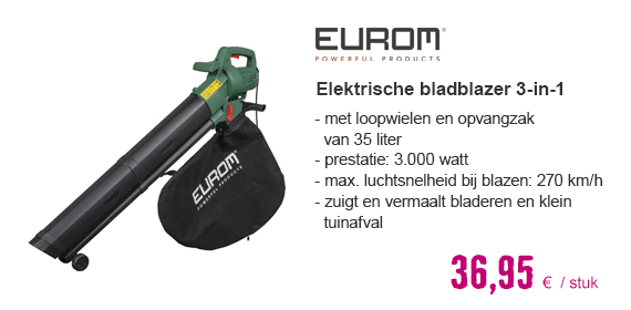 EUROM-Gardencleaner-3in1 | HORNBACH