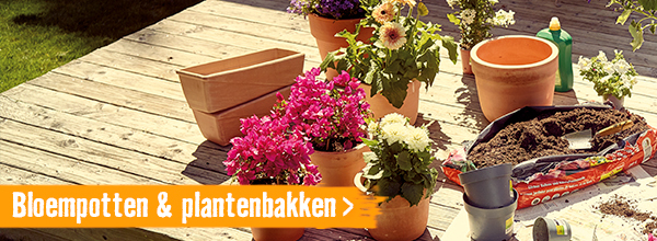 Bloempotten en plantenbakken | HORNBACH