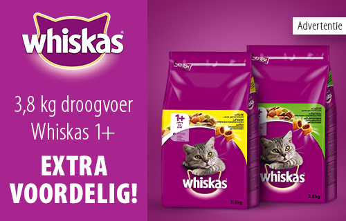 Extra voordelig! 3,8 kg Whiskas 1+