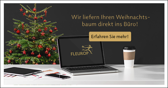 Zur Kollektion