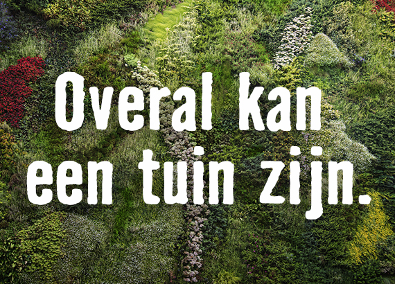 Overal kan een tuin zijn | HORNBACH