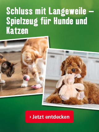Spielzeug gegen Langeweile