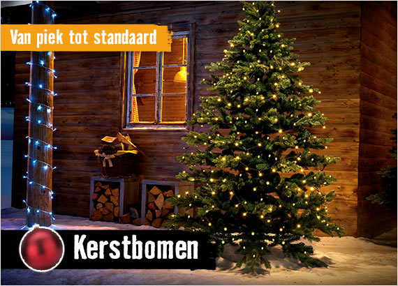 Alles voor de Kerst. Ontdek het assortiment! . HORNBACH