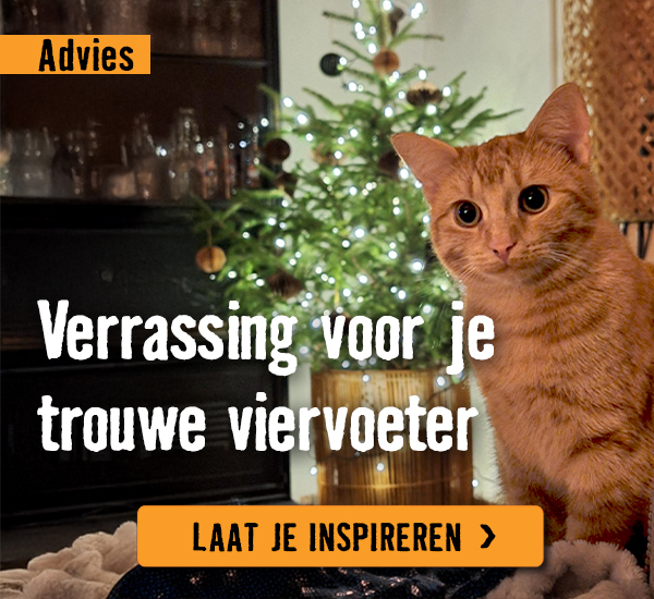 Huisdieren houden en verzorgen | HORNBACH