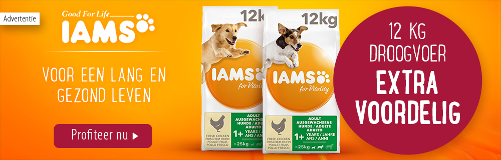 Extra voordelig! 12 kg IAMS droogvoer