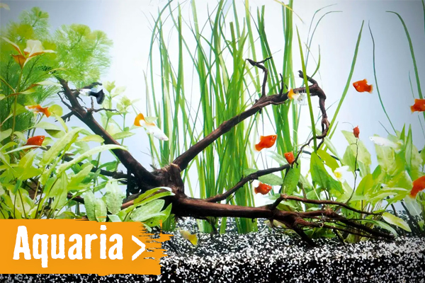 aquaria | HORNBACH