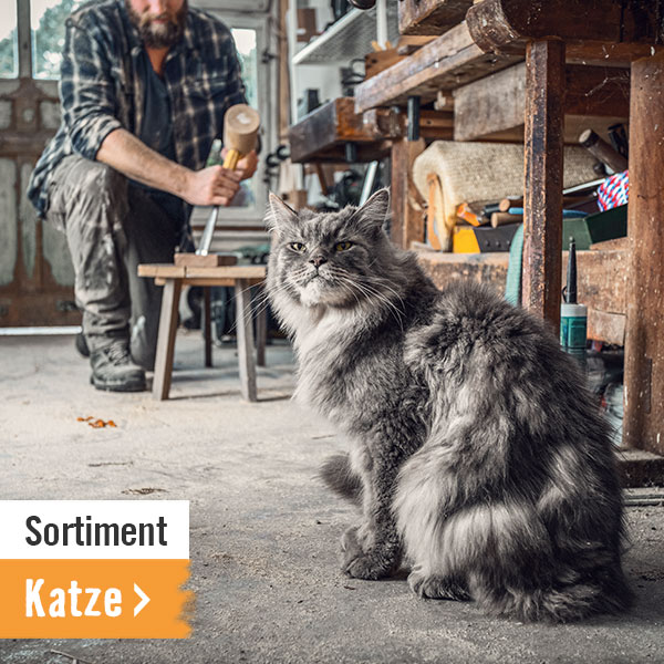 Alles für Katzen im HORNBACH Onlineshop