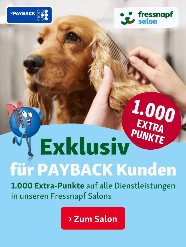 Exklusiv für PAYBACK Kunden: 1000 Extra-Punkte auf alle Dienstleistungen in unseren Fressnapf Salons 