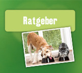 Ratgeber