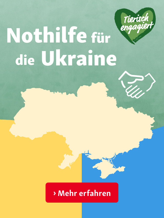 Nothilfe für die Ukraine