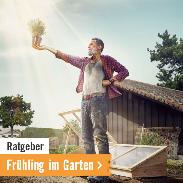 Ratgeber: Frühling im Garten