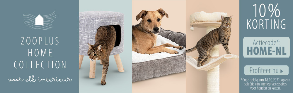 Ontdek nu onze zooplus Home Collection!