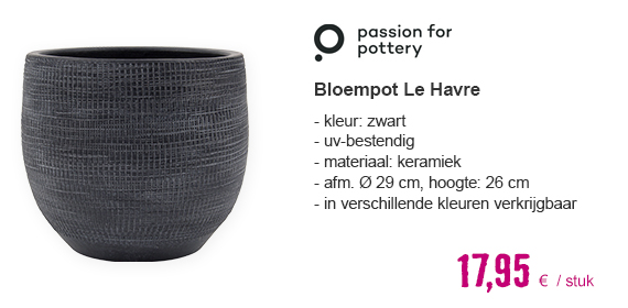 Bloempot Le Havre ronde vorm zwart Ø29 cm h26 cm | HORNBACH
