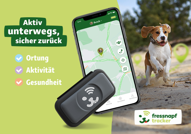 Der Fressnapf Tracker: Immer wissen, wo dein Hund gerade ist