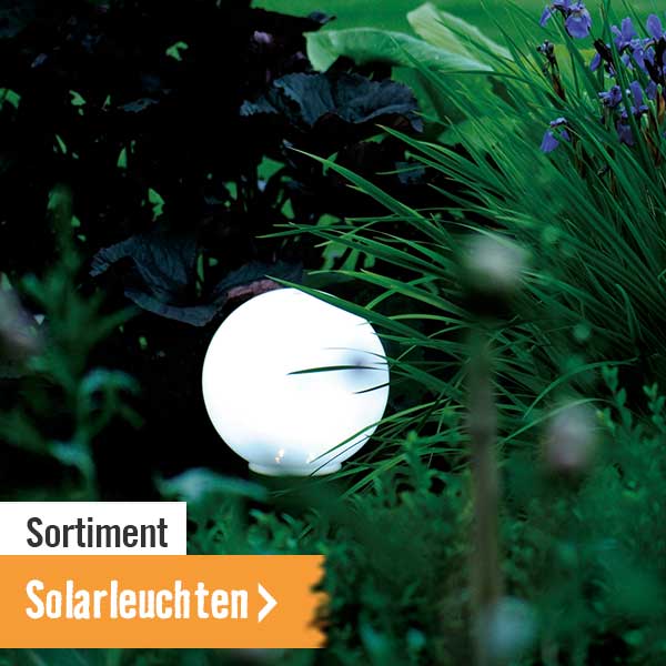 Solarleuchten im HORNBACH Onlineshop