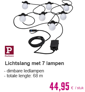 PAULMANN Plug & Shine lichtslang met 7 lampen IP44 24V